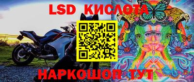 Альфа ПВП Кингисепп