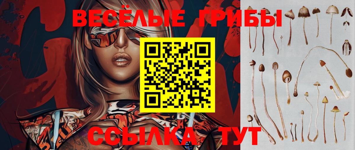 Галлюциногенные грибы MAGIC MUSHROOMS  Вход с VPN  Псилоцибиновые грибы Psilocybine cubensis  Югорск 